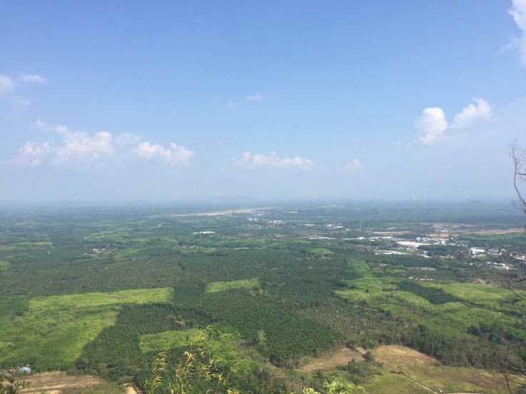 The view from the top