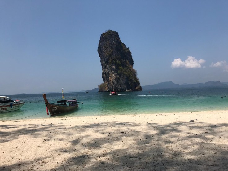 81591223-4088-48af-bdcf-8a562fb92dbf